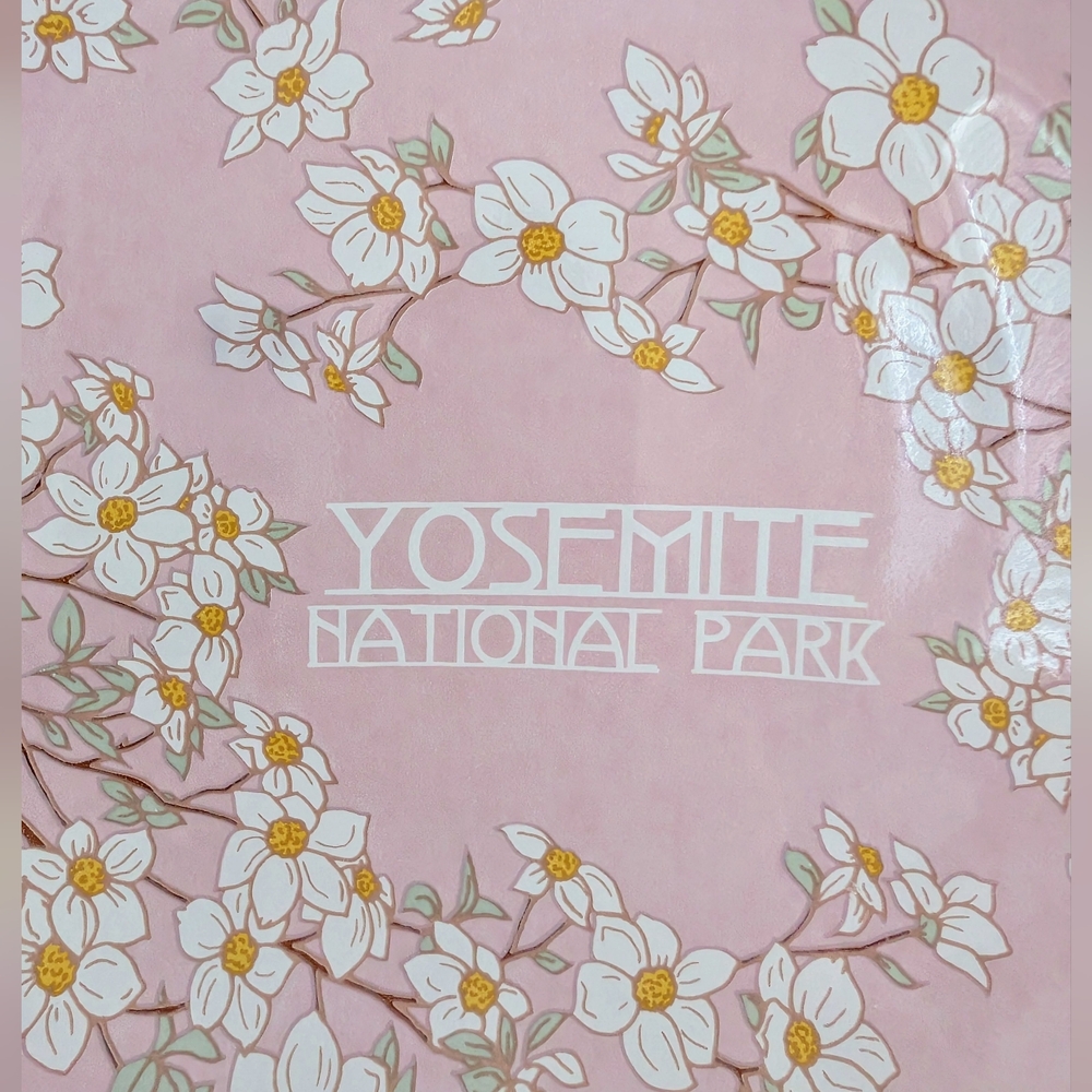 Yosemite National Park Glass Plate Dish Ahwahnee Dogwood Blossoms Square Cali - Picture 3 of 15